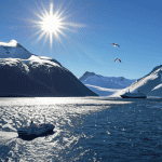 Antarctica Last Minute Cruise
