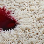 How to remove stains from carpet guide.
